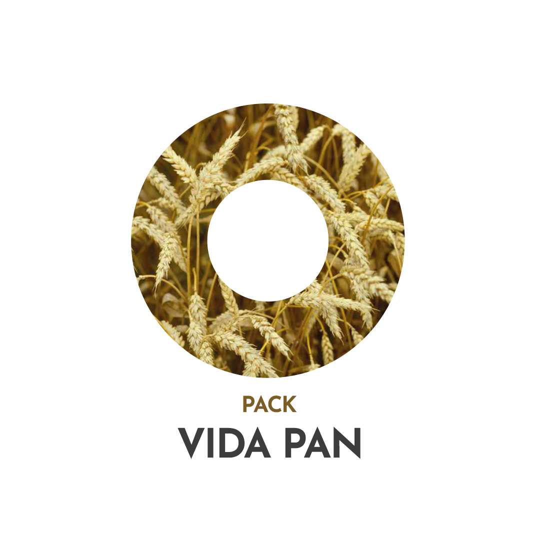 Vida Pan - PowerLife